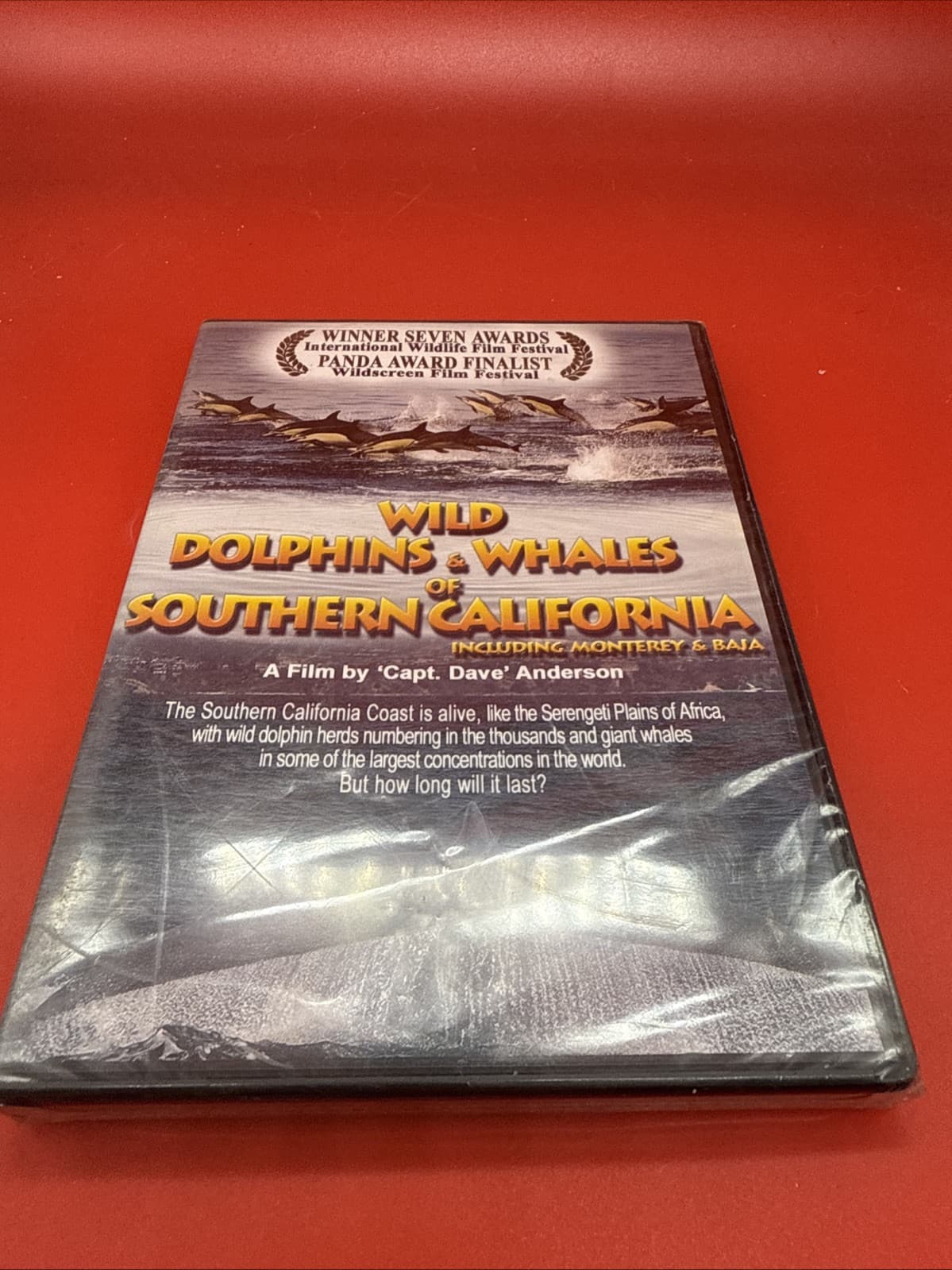 Wild Dolphins and Whales of Southern California DVD NEW Movie PHYSICAL_MOVIE NR - Image 2