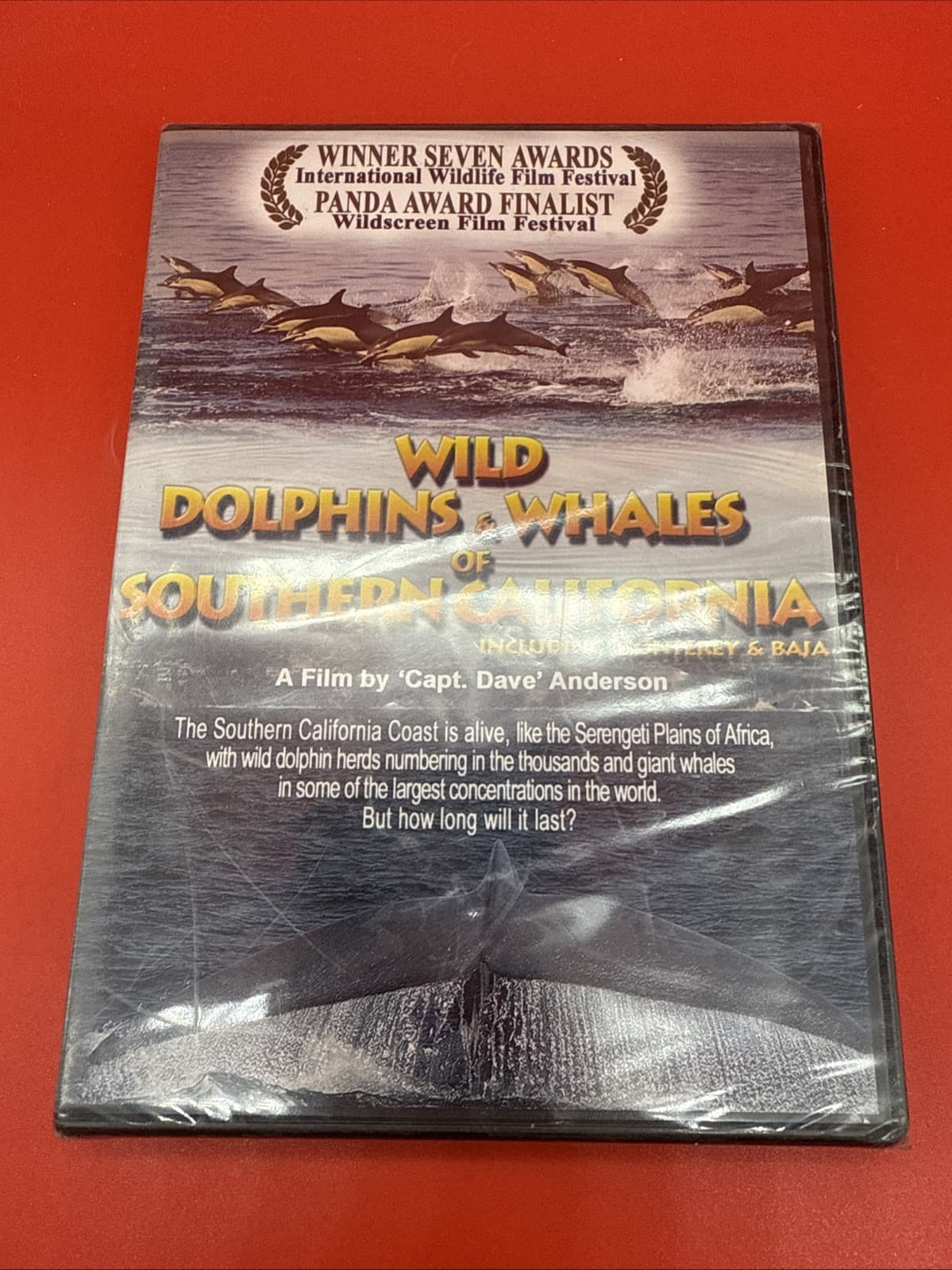 Wild Dolphins and Whales of Southern California DVD NEW Movie PHYSICAL_MOVIE NR