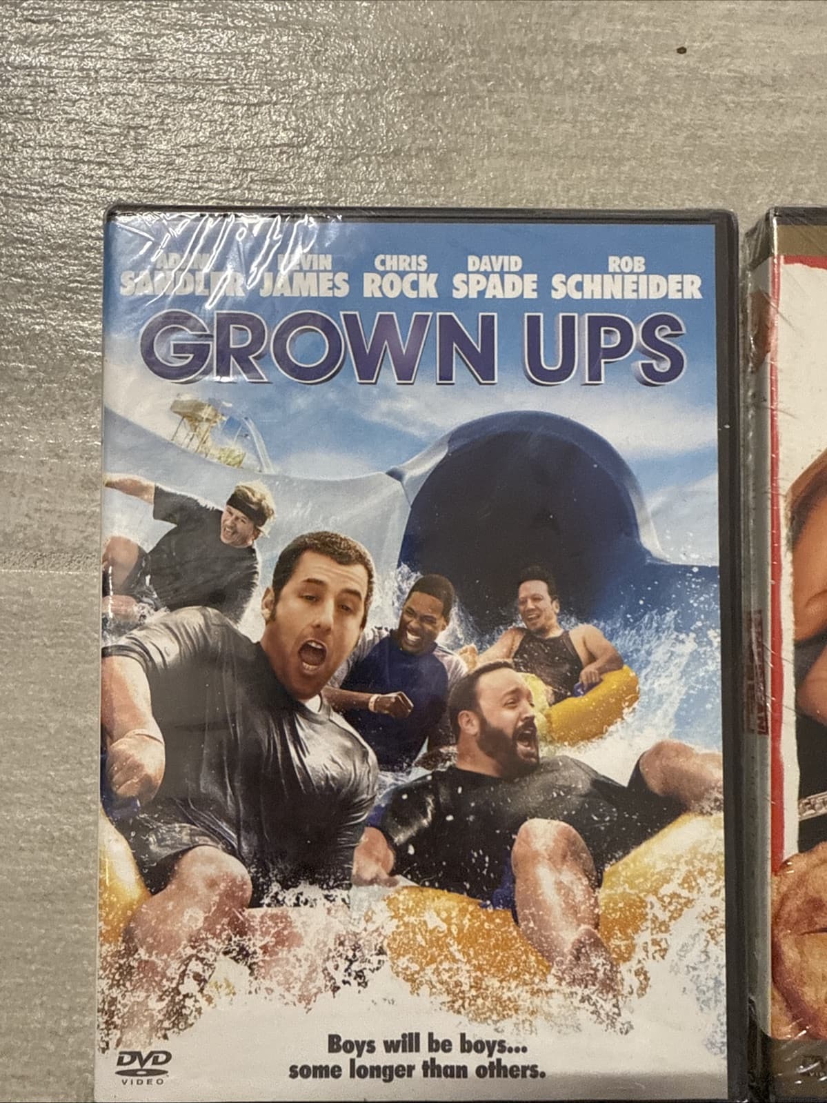 Lot Of 4 Comedy Grown Ups American Pie Hangover Knocked Up DVD  Brand New Sealed - Image 2